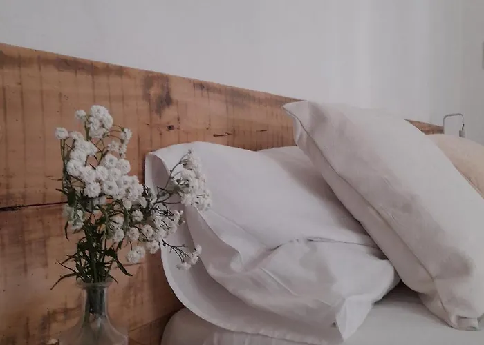 Casa Cucun * Saluces